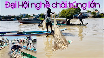 Chài hội Quá Đông * trúng bầy cá Quá nhiều-