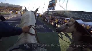 2022 Montana State Bobcats Gold Rush Entrance From The Rodeo Team View