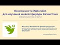 Возможности iNaturalist для изучения живой природы Казахстана. Онлайн