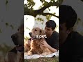 A Heartfelt Moment Every Dog Owner Will Understand ❤️#DogLove #Emotional#DogBond#gooddog #dogsworld