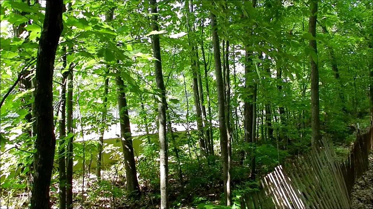 Kettle Bottoms Road America 6913 YouTube