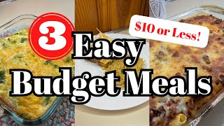 Feeding my family for only $10! 3 EASY BUDGET MEALS || $10 Dinners