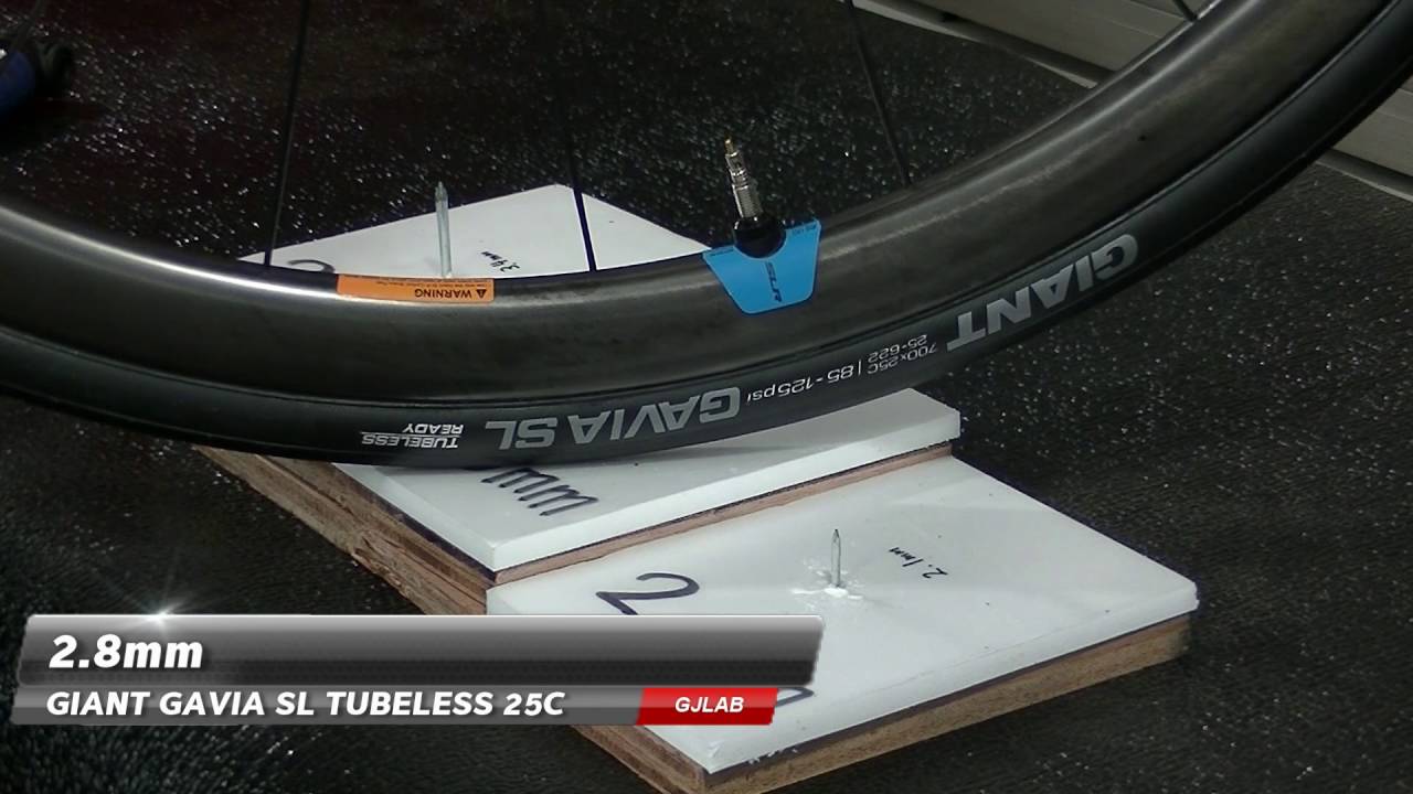 giant gavia slr tubeless