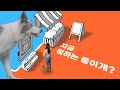 바이럴영상 스몰티켓 펫핑 15 미라클 22일 산책 챌린지 바이럴영상 스몰티켓 펫핑 15 미라클 22일 산책 챌린지
