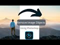 How to remove image objects  using photoshop  rexmap