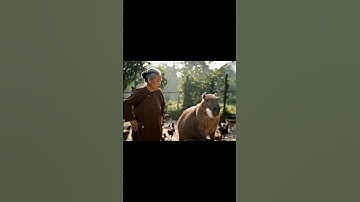 Bà lão và Capybara - Capy hóng chuyện hàng xóm  #veo3 #capybara #viralvideo #viral #viralshorts
