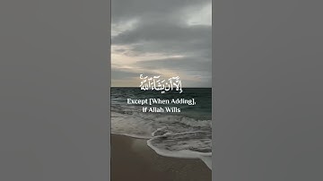 سورة الكهف اسلام صبحي #اسلام_صبحي #سورة_الكهف #قران #قرآن #القرآن_الكريم #اسلاميات #explore #quran