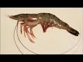 Spicy prawns fry❤️How to make prawns masala curry||lito N. yepthomi