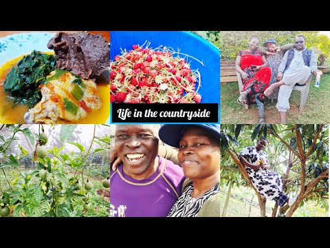 Simple Countryside Living Fruit Harveat Family Tume