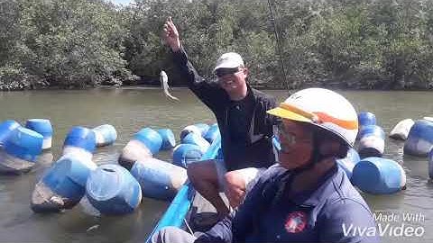 Du câu rừng ngập mặn Cần Giờ.