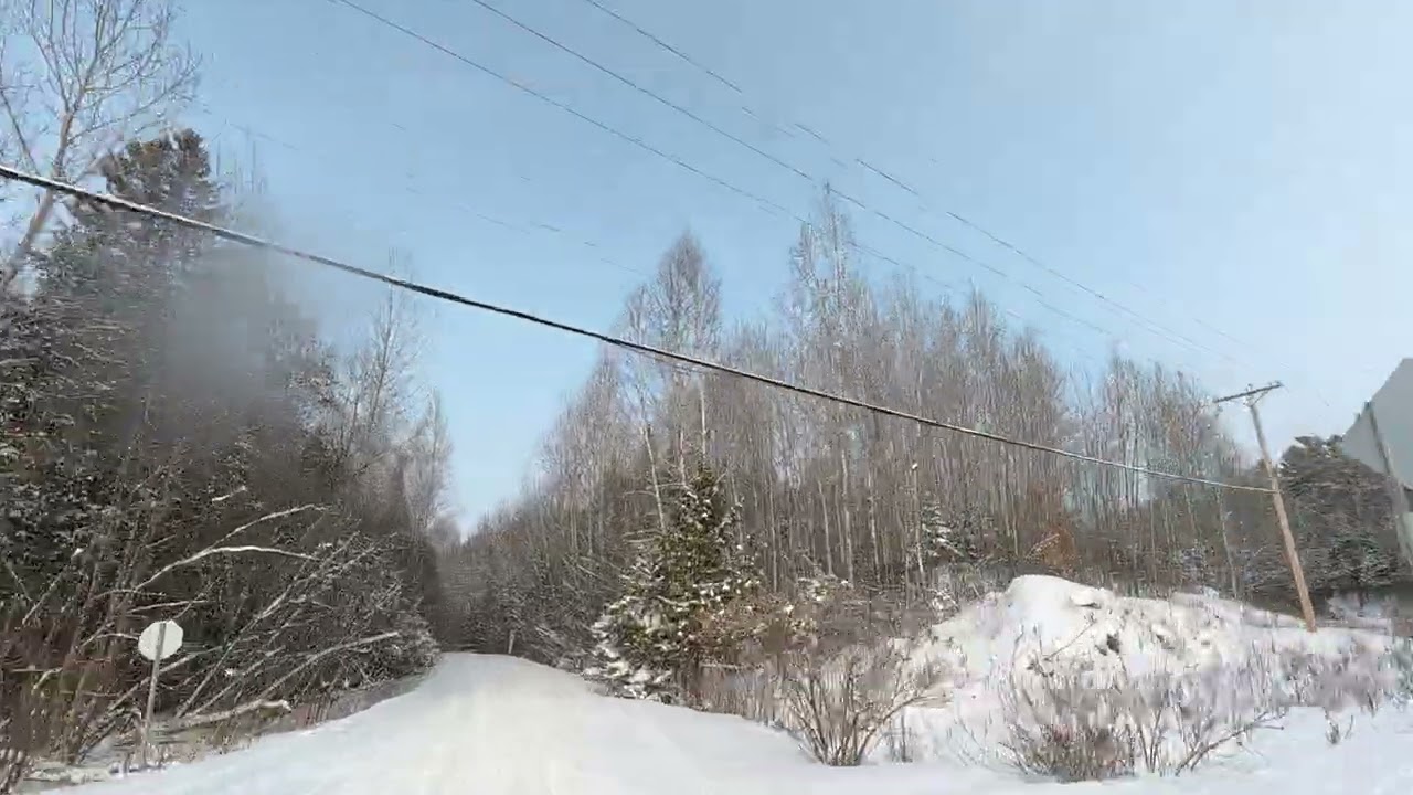 Cayamant - Messines - Forêt de l'Aigle - Cayamant_17 JAN 2025_Part 2 of 5