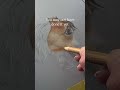 From Beginner to Pet Portrait Artist (Start Here)