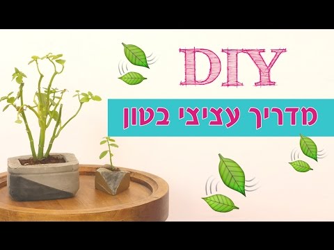איך להכין עציצי בטון לבד בבית | diy עציצי מלט |  How To Make Cement Plants