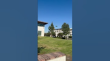 DJI Avata 2 power loop #djiavata2 #fpv #2024 #dji #djifpv