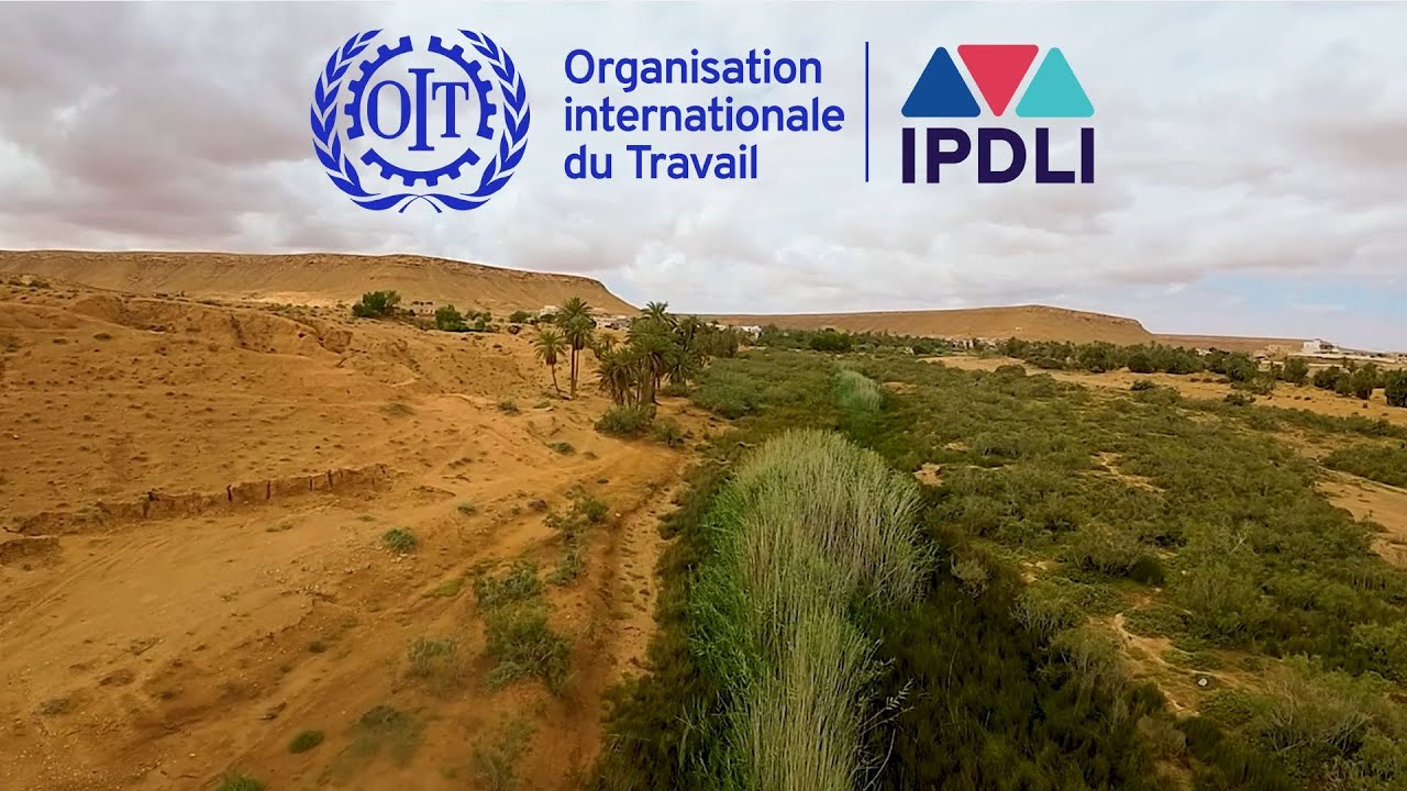Initiative Pilote de Développement Local Intégré