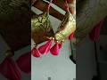 EASY DESIGN SIKHNE KE LIYE VISIT ON I'D #viral #like #blousedesign #subscribe #trending #100 #live