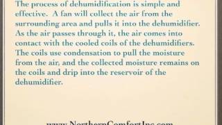 Why Dehumidification is important for you