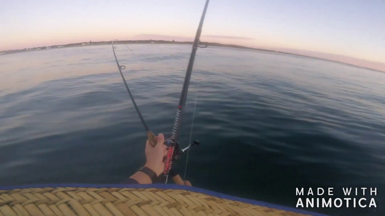 Fun Sunrise Norah Head Fishing Session Snapper, Kings, Tuna and Squid