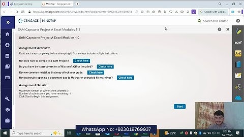 Sam Capstone Project A Excel Modules 1-3