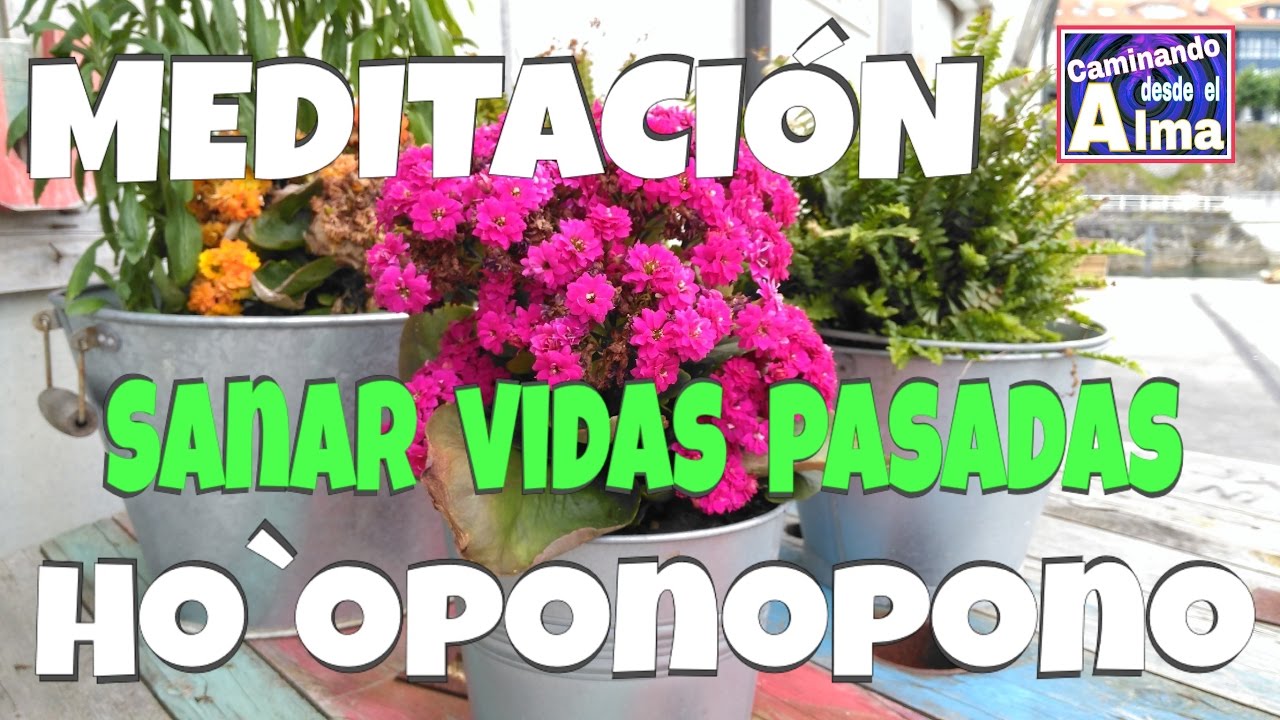 MEDITACIÓN Ho`oponopono Sanar vidas pasadas ho'oponopono money