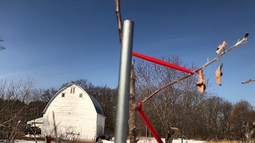 Pepin Orchard Vlog #10 - Stark Bros Tree Training Spreaders