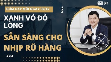 Nhận định thị trường ngày 02/12| Xanh vỏ Đỏ lòng| Chuẩn bị cho nhịp rũ bỏ