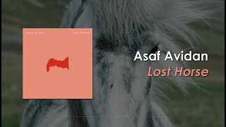 Asaf Avidan - Lost Horse (Lyric Video)