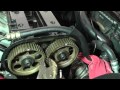 Suzuki Forenza Head Installation - Part 15 (Timing Belt Install)