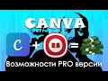 Canva обучение? PRO версия, обзор редактора. Находка для дизайнера. TOP YouTube Video