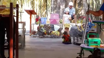 0978.68.37.68 Cho Thuê Xiếc - Xiếc Thú Xiếc Người - Dịch Vụ Xiếc Hề Ảo Thuật Hà Nội