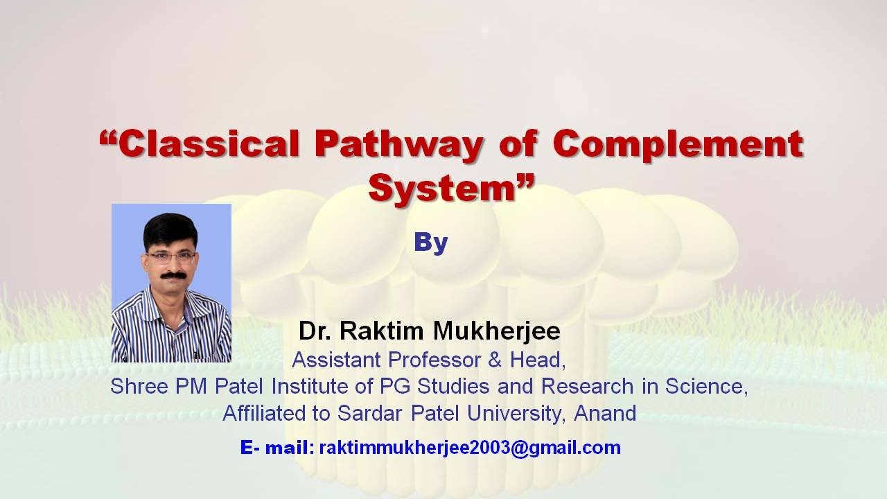 CLASSICAL PATHWAY OF COMPLEMENT SYSTEM - YouTube