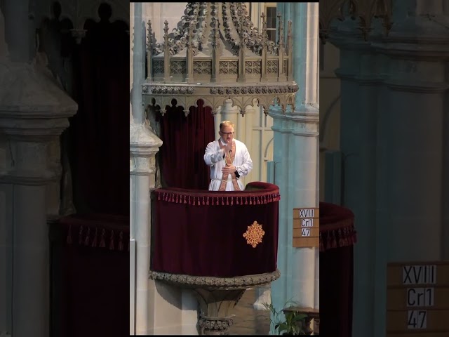 Watch Advent 2024 in der Wiener Minoritenkirche  #Advent  #Minoritenkirche  #Rorate on YouTube.