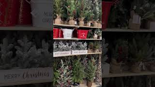 Personal Sized Christmas Trees | Hobby Lobby | #Shorts | Cool Places