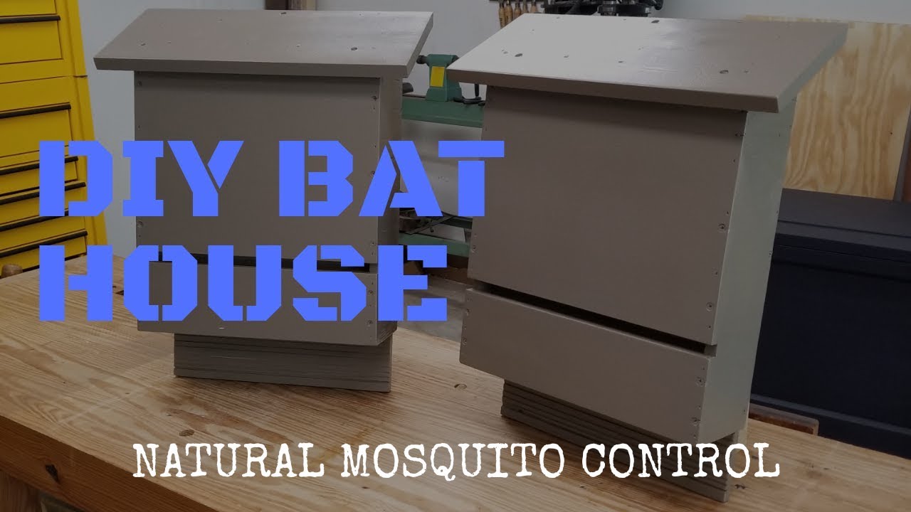 Making a Bat House Using the Rotorazer Saw, My DIY Wood Home Project