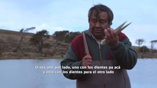 Cabo de Hornos: Cultura y naturaleza, el arpón Yagán