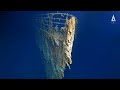 Titanik'in en net görüntülerine ulaşıldı: Demir yiyen bakteriler batık gemiyi biritiyor