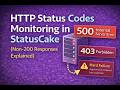 Non-200 Status Codes Explained: What They Mean for Monitoring