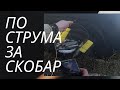 По струма за скобар януари 2022 - Out for common nase on Struma river