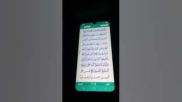 سورة المائدة الآية 90-92 سعد الغامدي