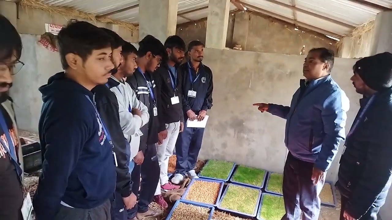 घर मे सस्ती हरा चारा बिना मिट्टी की उत्पादन करे