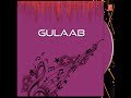 Roi Gulaab Mp3 Song