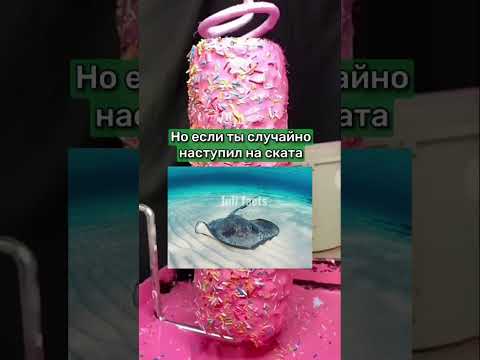 ЧТО БУДЕТ, ЕСЛИ НАСТУПИТЬ НА МОРСКОГО СКАТА