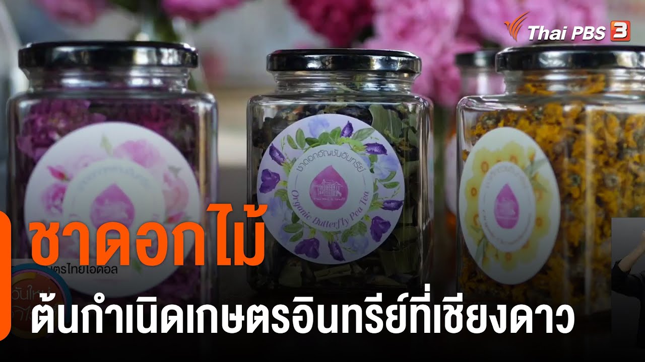 ชาดอกไม้ ต้นกำเนิดเกษตรอินทรีย์ที่เชียงดาว : ดอกผลของความยั่งยืน