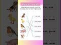 Animal Match Game 🐶🦁🐢 | Guess the Animal Sound for Kids! #shorts #happystepkid #shortfeed
