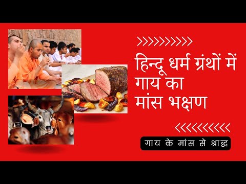 वीडियो: क्या गायों को मांस खिलाया जाता है?