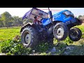 Sonalika sikandar di 47 rx tractor stuck in mud  tractor farming
