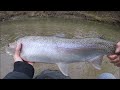 The ended of ontario steelheed 3021 southern winter fishing