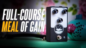 A Full-Course Meal of GAIN! The Native Audio Makoyii!