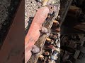 2007 dodge durango 4.7 v8 sxt head removal left side is out #foryourpage #automobile #restoration