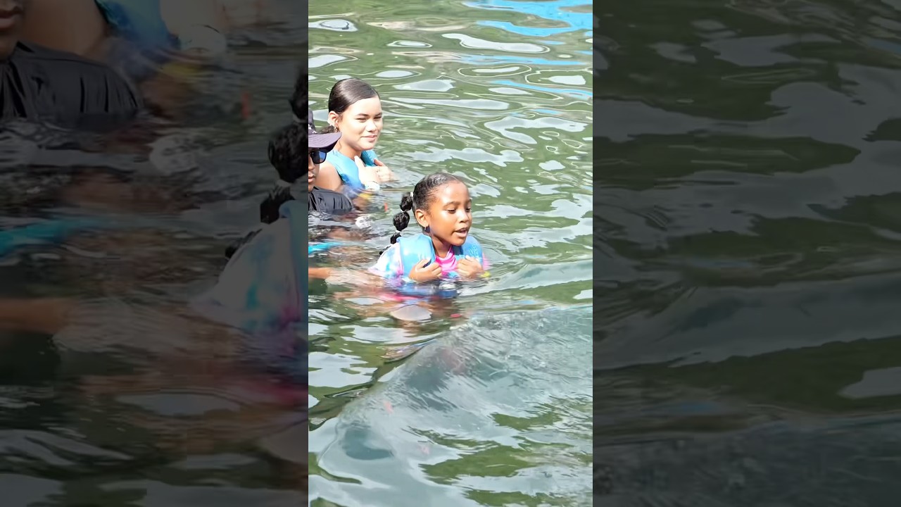 MIRA EL VIDEO COMPLETO AQUÍ  delfín????????????https://youtu.be/UkJANVkI44s?si=TnVKGi0Vgq7aP9i0 